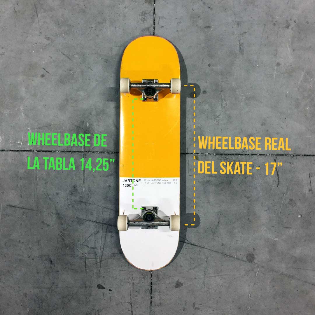 Cuáles son las partes de la tabla de skate?